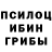 Псилоцибиновые грибы мицелий Eckhard Paashaus