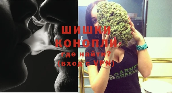 spice Кинешма