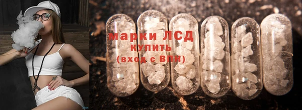 spice Кинешма