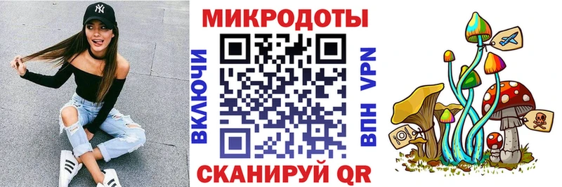 Купить где  Нерехта  Галлюциногенные грибы Cubensis 